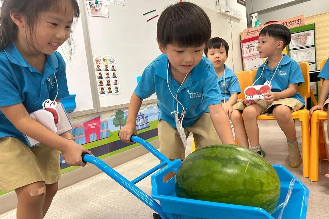 伊莱雅园小学的MK@Elias Park教育部幼儿园，让孩童在30分钟延长母语课时中，围绕之前在繁星语文（母语）课程所阅读的绘本主题，进行游戏或角色扮演活动。图为孩童扮演“小蚂蚁”相互讨论及合作搬运西瓜，将儿童绘本《蚂蚁与西瓜》中的情景搬演出来。（MK@Elias Park教育部幼儿园提供）
