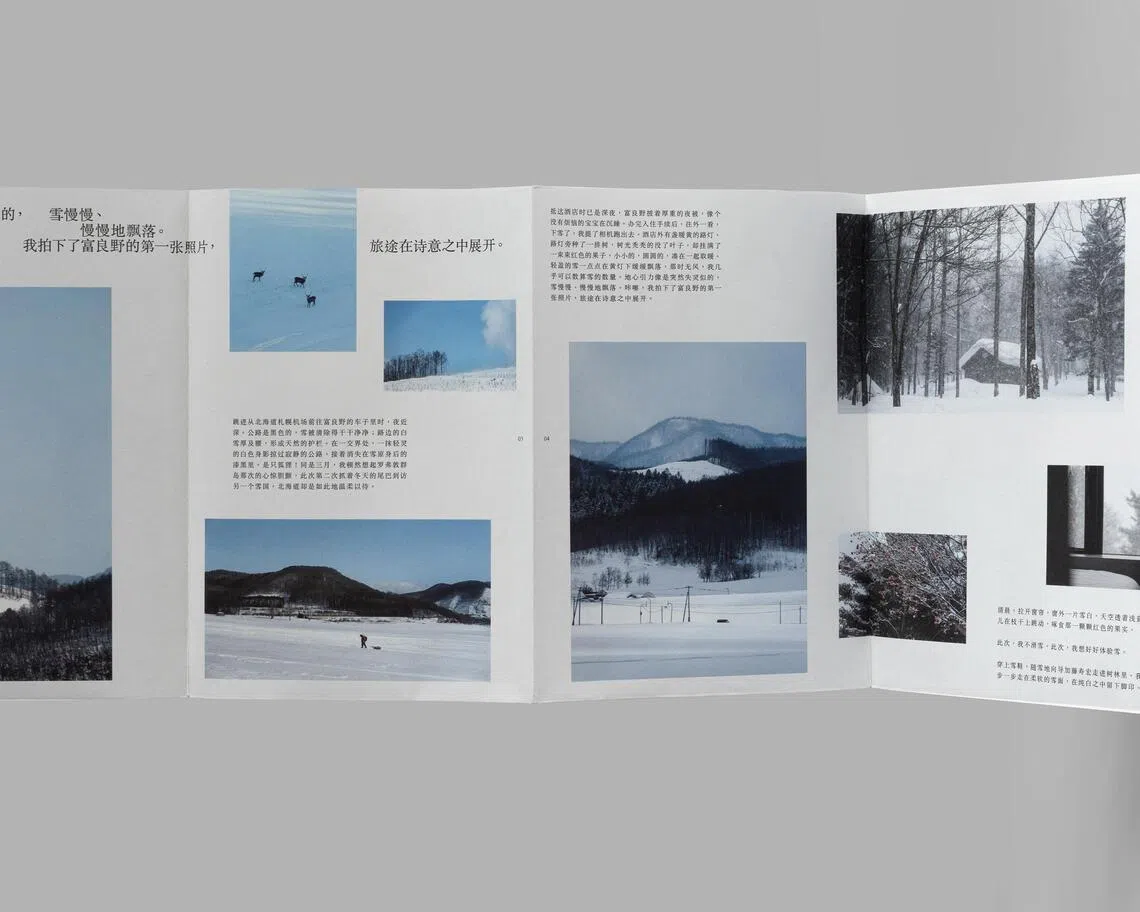 24张海报收纳盒中林道锦旅游摄影文集《谁在缝隙里种光》致敬报纸| 联合早报