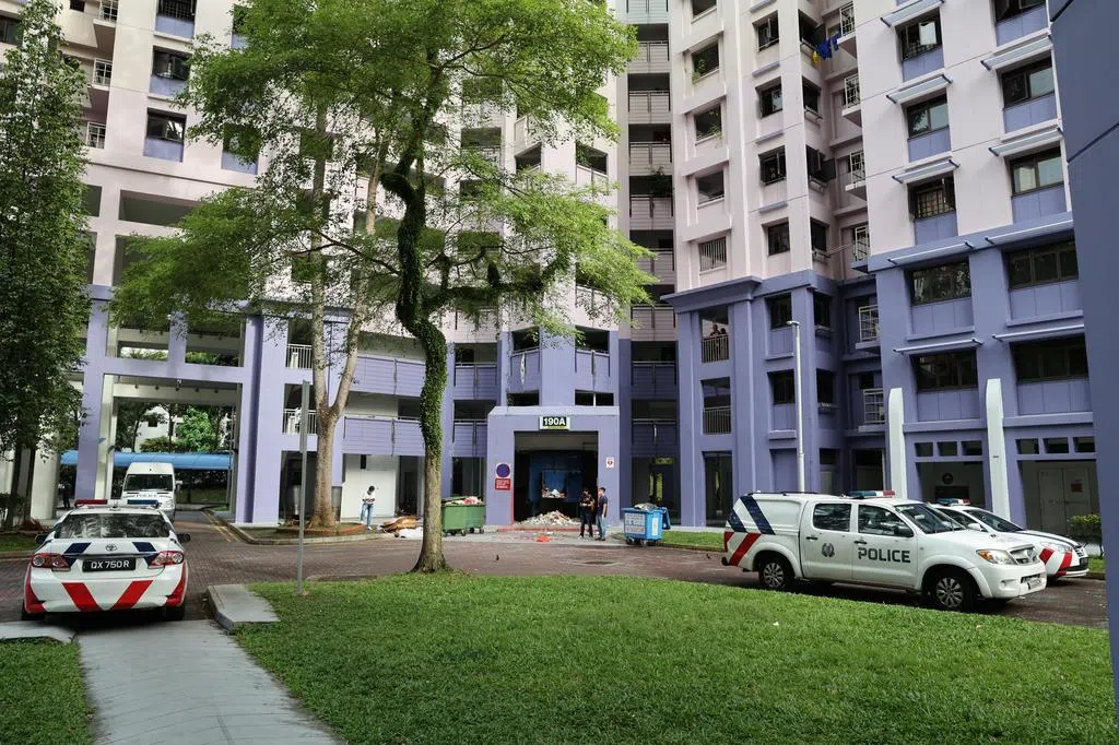 因担心被赶出家门乱刀砍死养父 女子判监18年