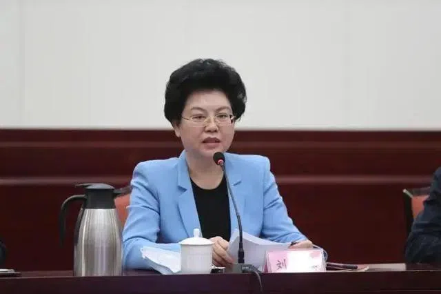 中国落马正部级女高官罕见被指“匿名诬告他人”