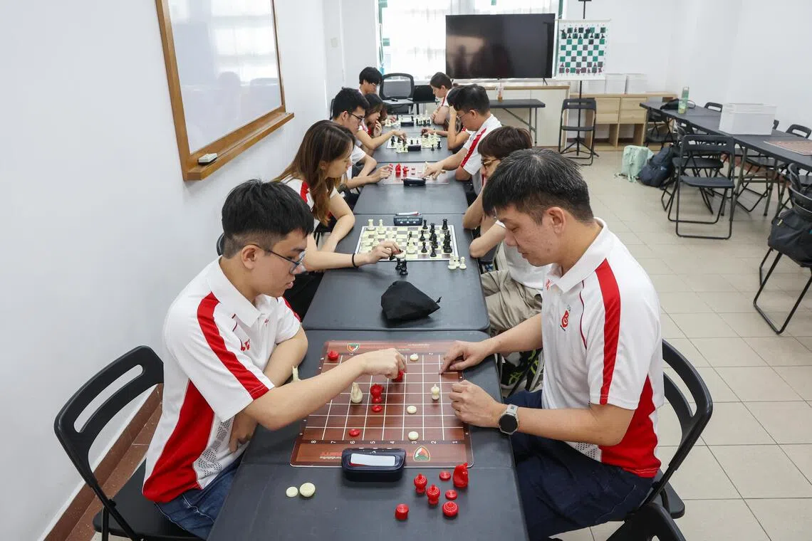 选手们正聚精会神地下棋，其中吴伟铭（右排前）和张景尧（左排前）下的是泰国象棋，可以见到这种棋的棋盘和棋子都和一旁的国际象棋不同。（游甯稀摄）