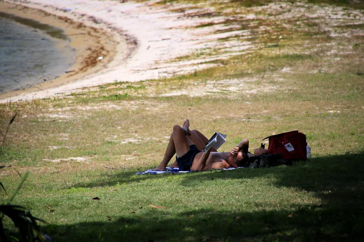 外岛拉扎鲁斯岛可说是新加坡的后花园。（档案照片）