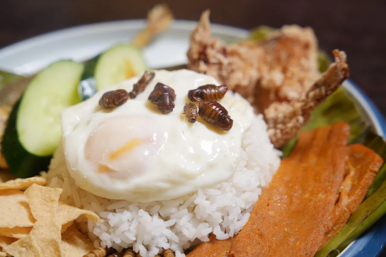 用蝉点缀的椰浆饭，价格为15元。（谢智扬摄）