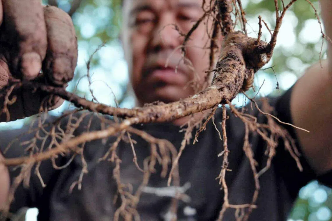 传统与科技的结合，给中医养生带来全新的体验。 （图/商家提供）