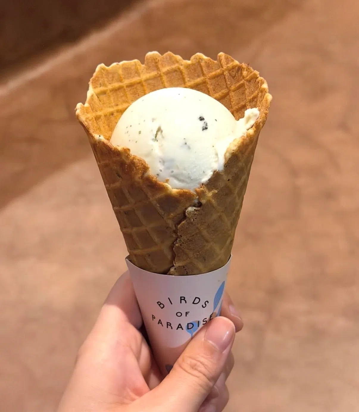 选用花卉、香草、茶叶等天然食材制成的雪糕，口感清爽甜度低。（叶晓虹摄）