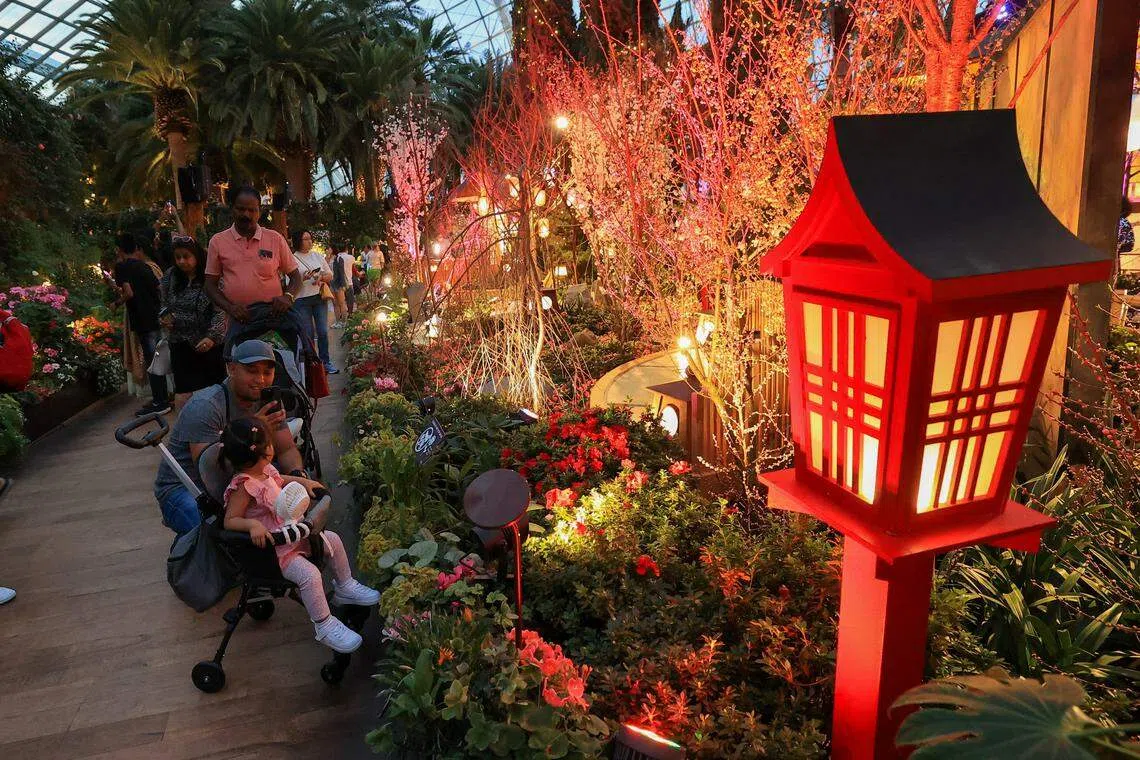 这次的展览展出40多个品种的140多棵樱花树，访客纷纷拍照打卡。（吴先邦摄）