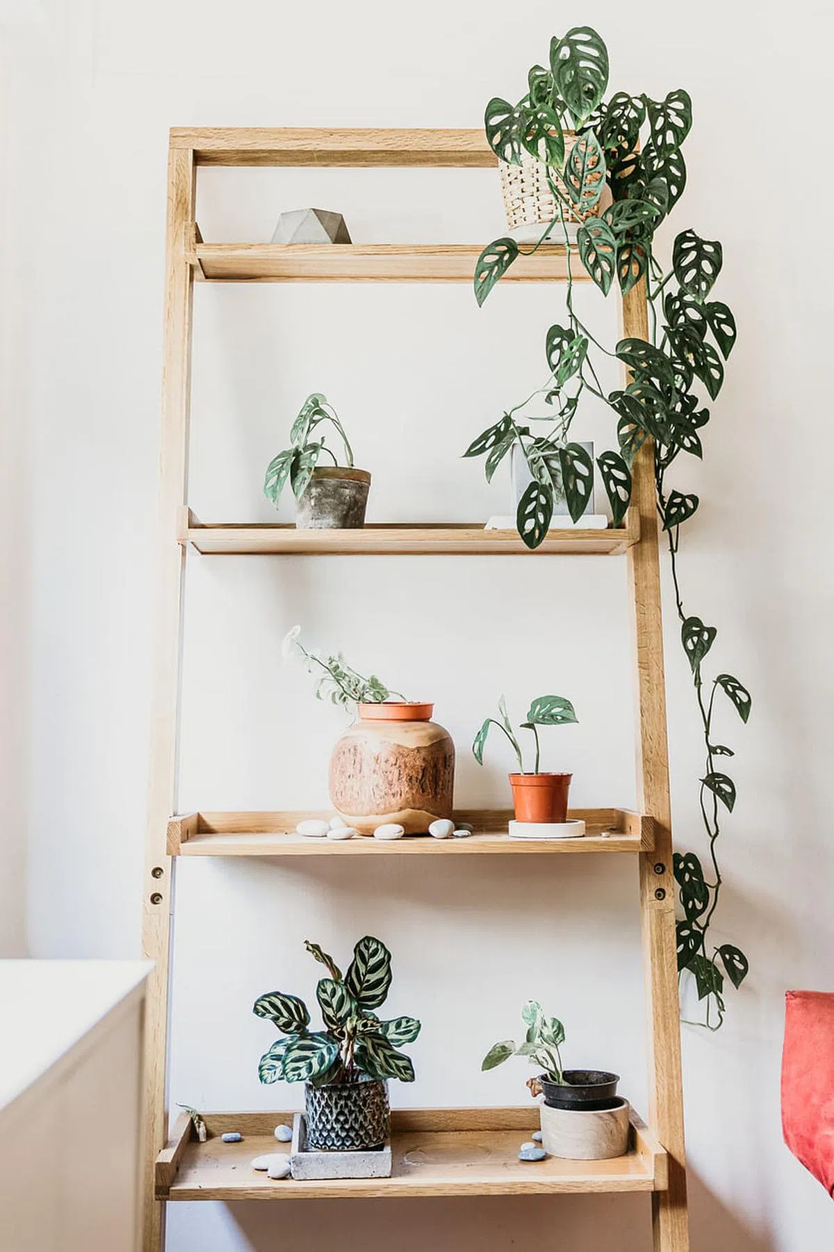 靠窗木架上的室内盆栽赏心悦目。（Wood Works Studio提供照片）