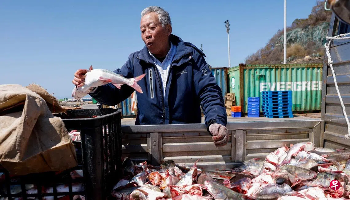 ϰ֣��󣬱����׳�10���̨��ʩ�������ڡ��Ŷ���ʶ���뷴��̨��ǰ���£����Ϊ���ϼ�����߱�׼��̨��ũ���Ʒ�����½�ṩ����������Ϊ��½��Խ��ܲ�֮�ڼ���ѡ�ͼΪ̨������3��15��������׼��������������㡣 ��·͸�磩