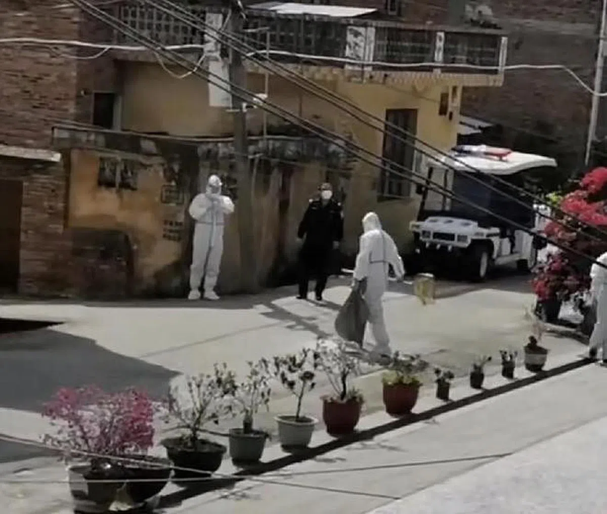 10月27日，福建莆田一只宠物边境牧羊犬，在主人因为冠病密接集中隔离后，被上门消杀的“大白”勒死在了麻袋里。（互联网）