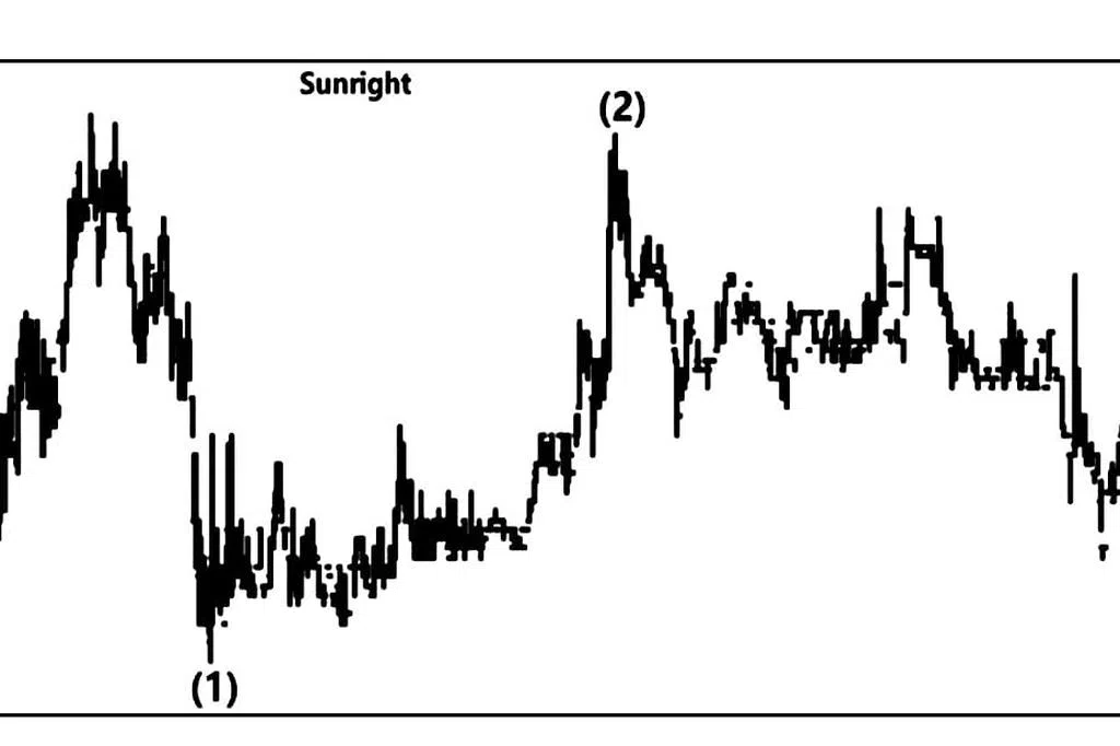 昇锐 Sunright | 联合早报