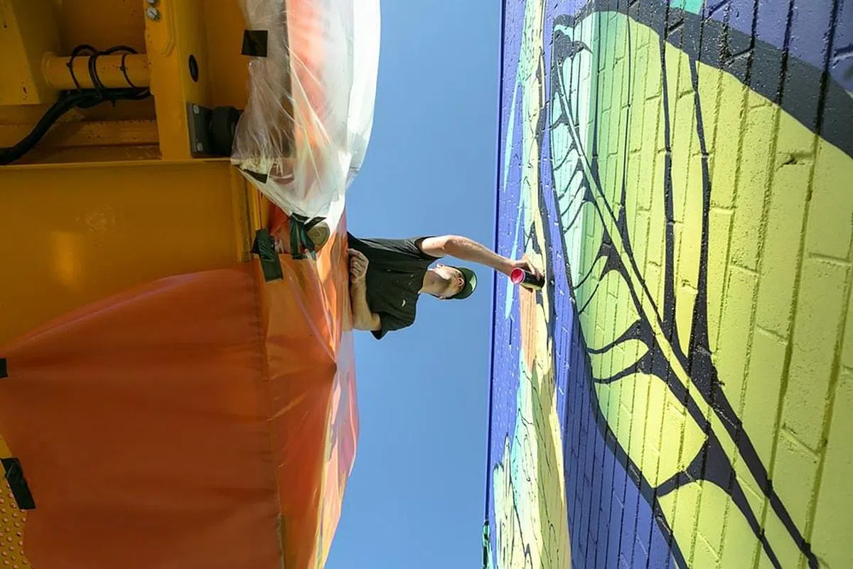 首届堪培拉街头艺术节Surface Festival将在3月举行。（图/Surface Urban Art Festival）