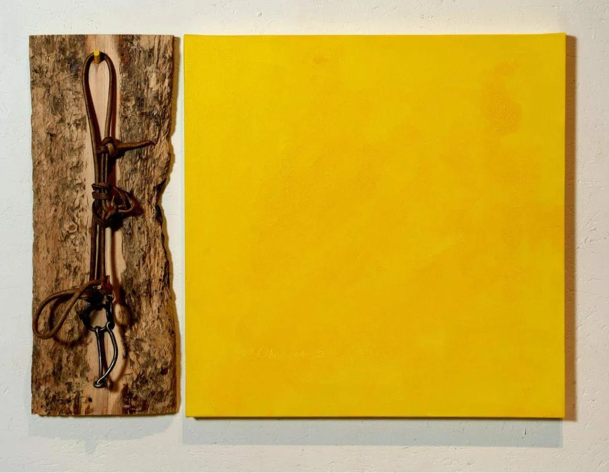 蒙古艺术家Magsar Chinbat的作品。（巴音基金会提供）