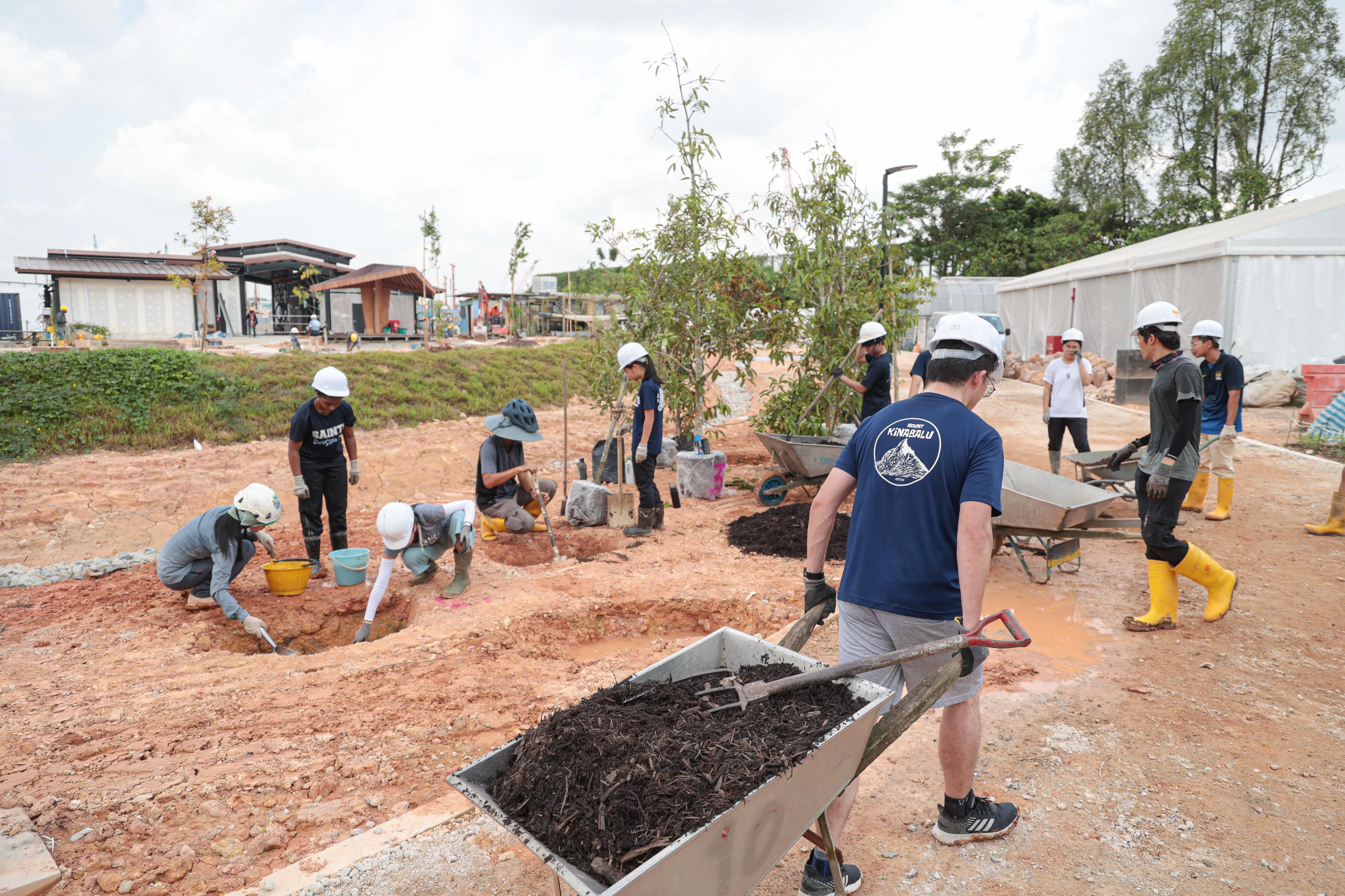 距离新的聚友爱甘榜教育园开幕还有一周，数十名义工正忙着铺设草坪、种下树木。（李冠卫摄）