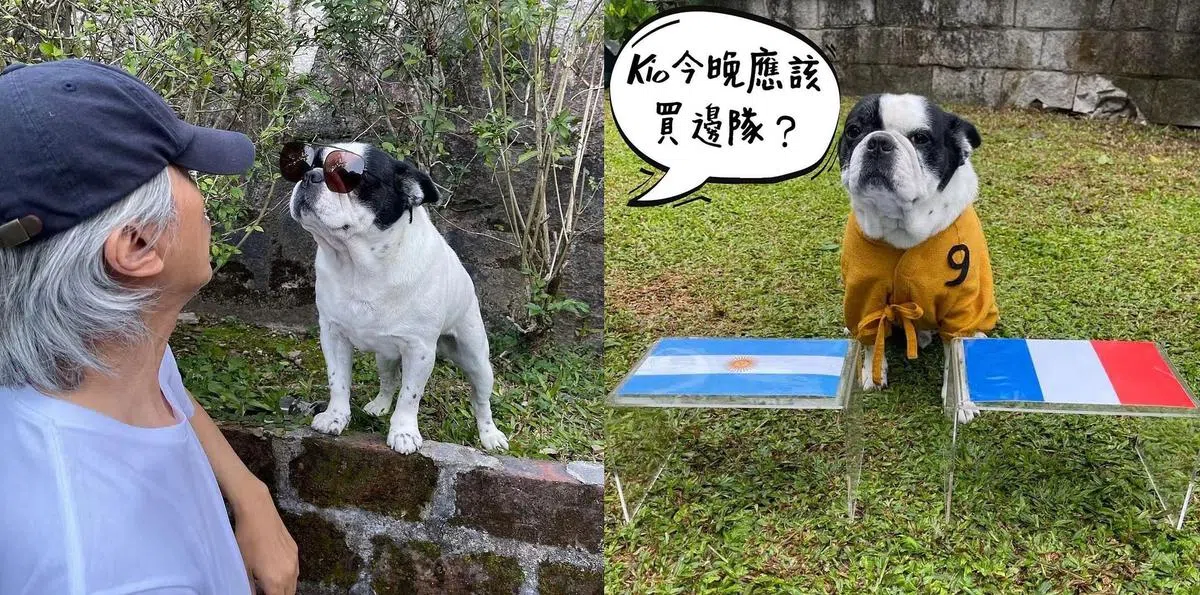 周星驰赛前让爱犬预测赛绩。（取自艺人Instagram）