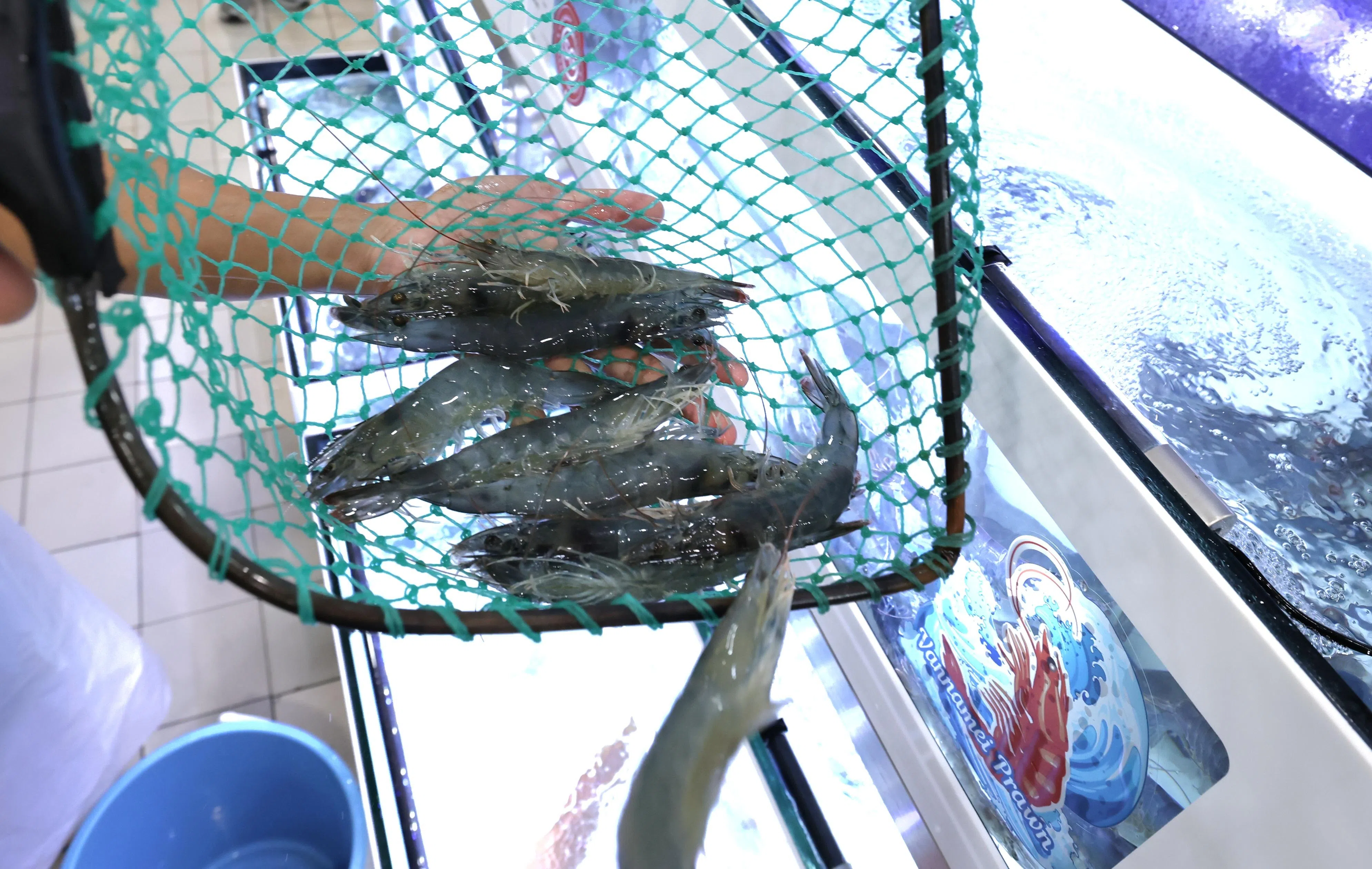 本土生产“一点虾”每公斤卖32.9元，售价比冰鲜虾1公斤卖约14元高。（梁麒麟摄）