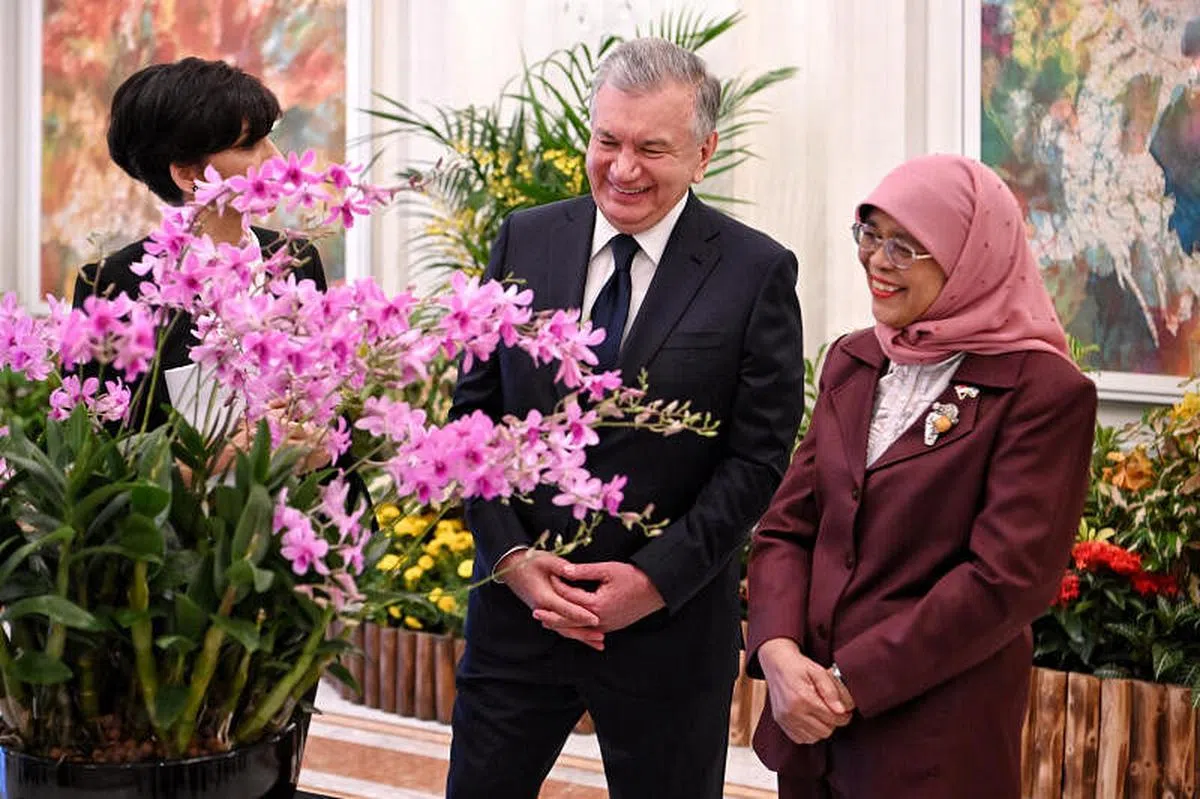 乌兹别克斯坦总统米尔济约耶夫（中）出席在总统府举行的胡姬花命名仪式，并与我国总统哈莉玛（右）一同欣赏以他名字命名的胡姬花。（海峡时报）