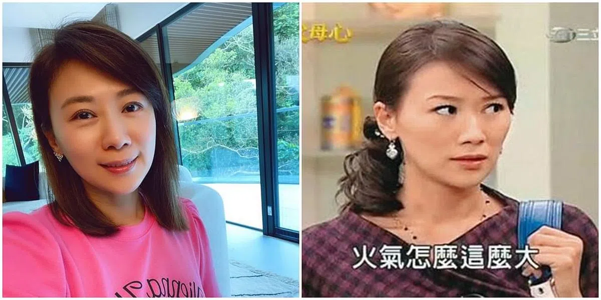 台湾女星连静雯过去在不少台湾本土剧中演活“坏女人”的角色。（图/互联网）