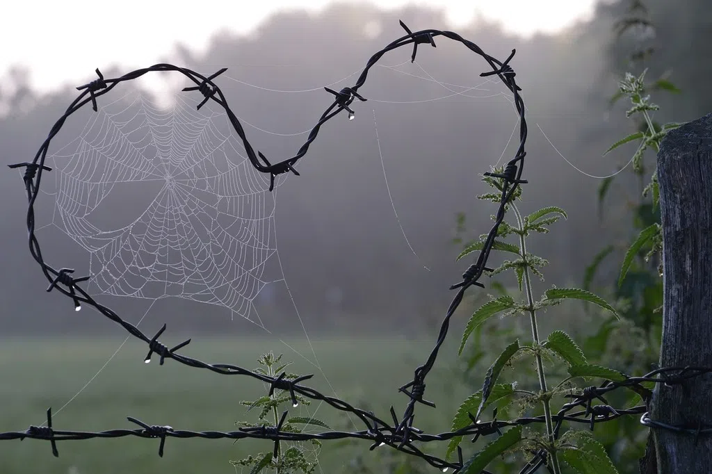 【字食族】王怡静：是对爱的渴望