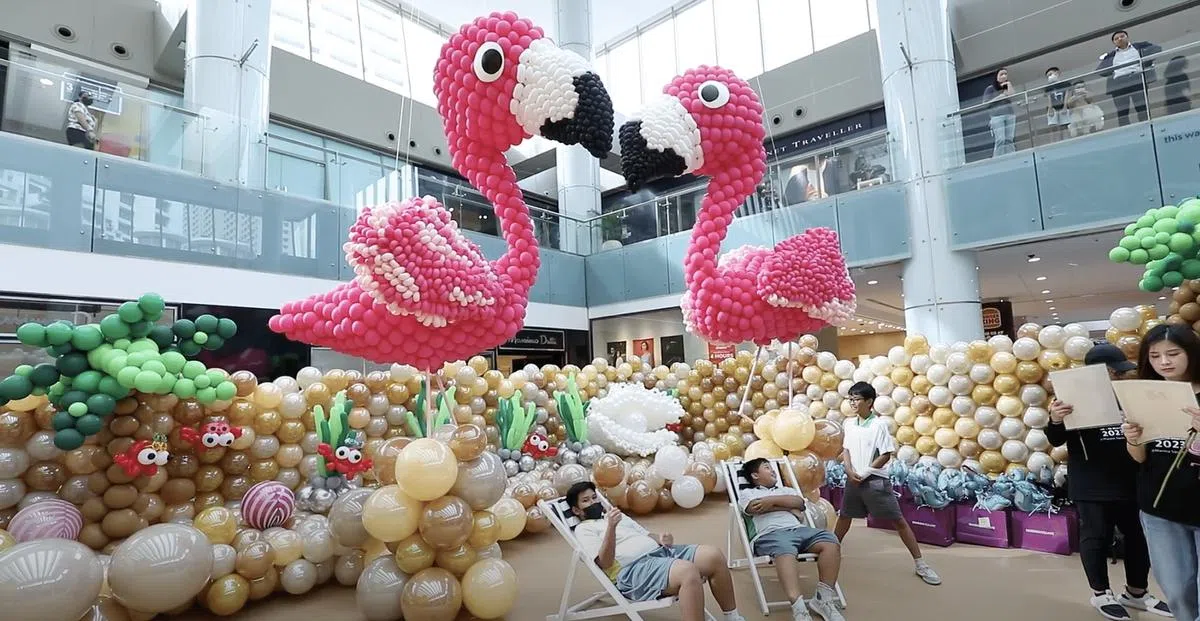 火烈鸟展示。（林泽锐摄）