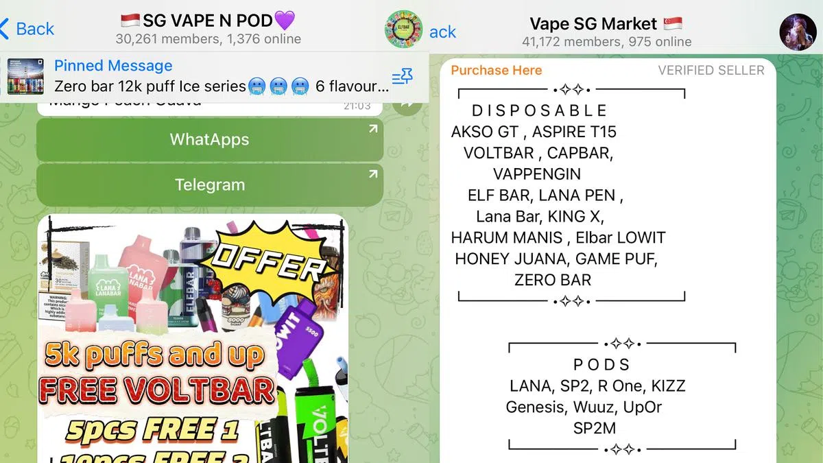 电子烟卖家通过Telegram群组兜售各色电子烟，引年轻人上钩。（Telegram截图）