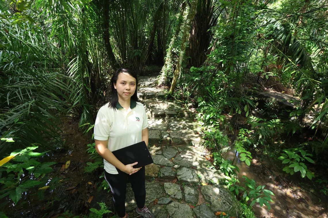 热爱自然的卓悦歆在公园局服务15年，乐此不疲。（梁麒麟摄）