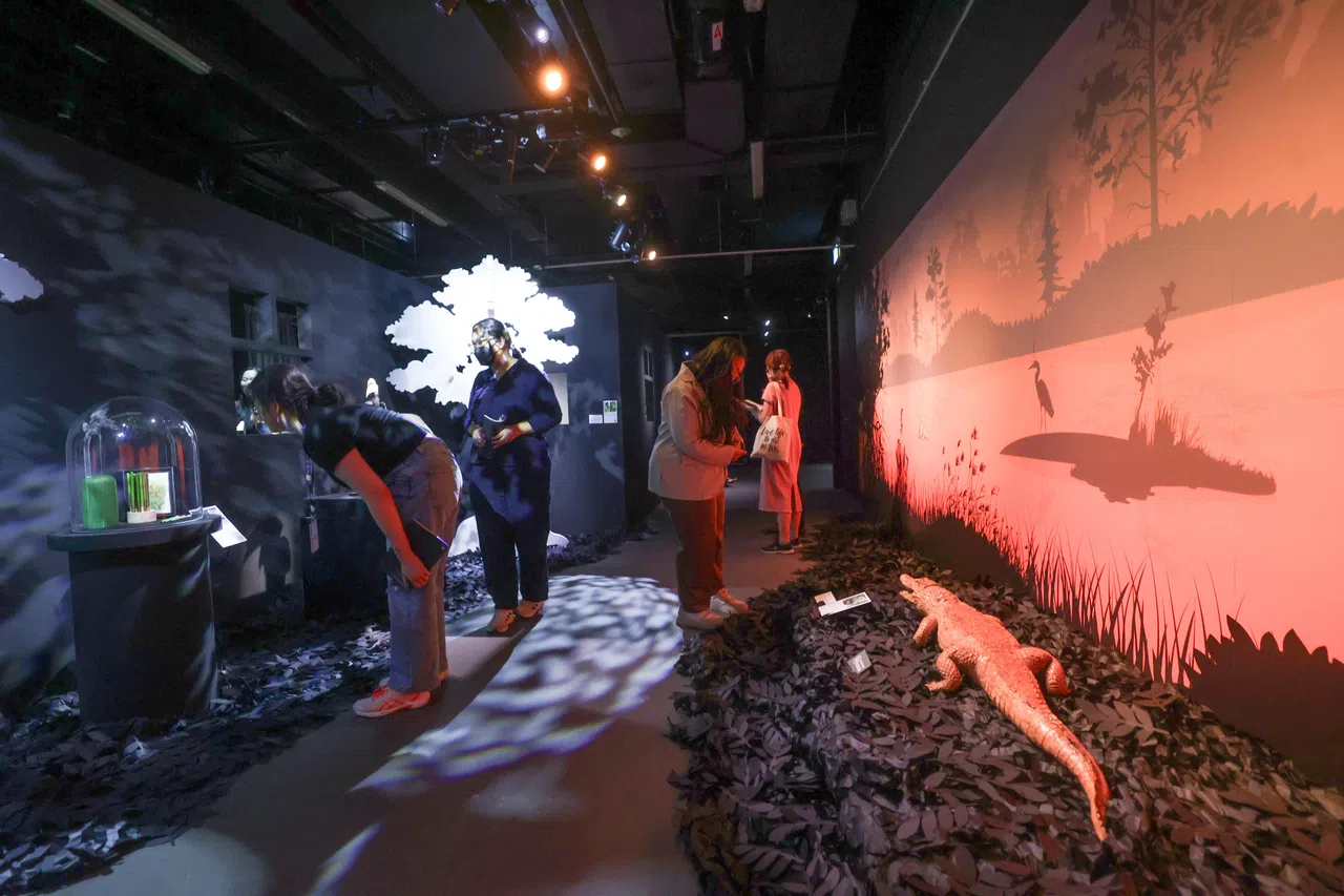 “自然而然：与万物生灵的对话”装置展览将举行至明年1月5日。（蔡家增摄）