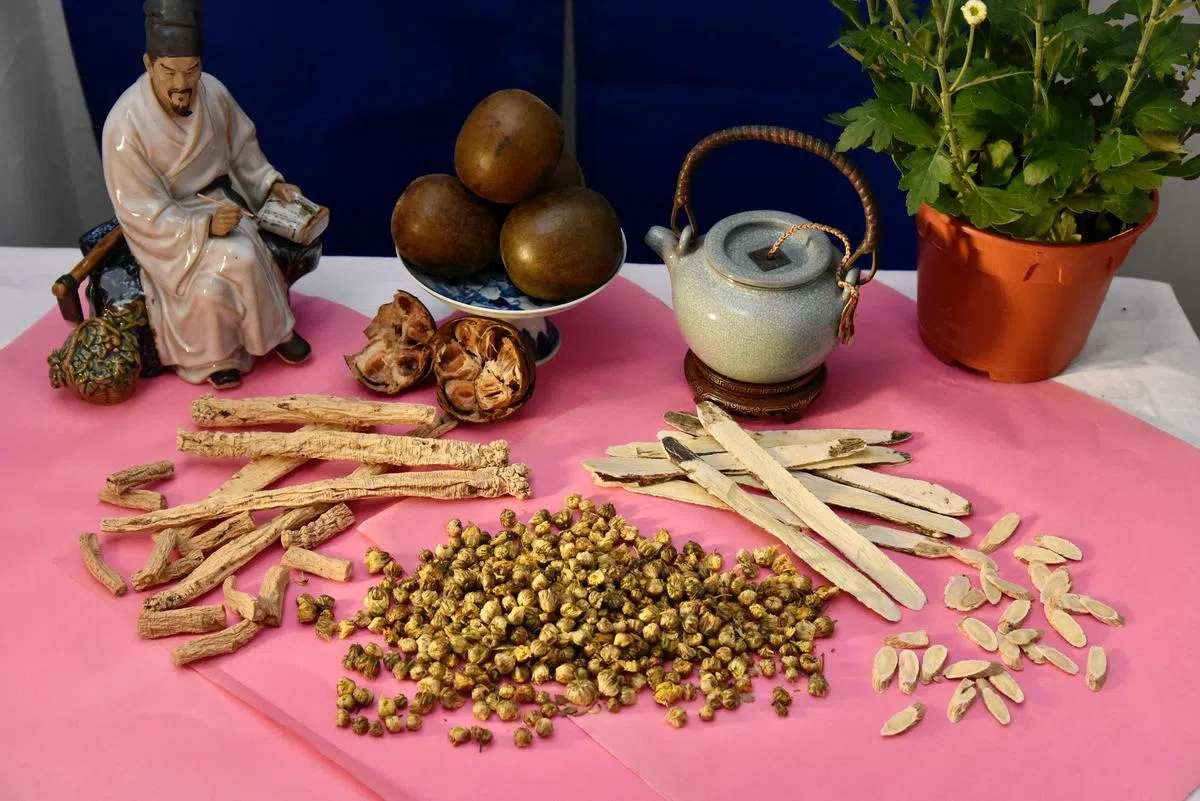 使用中草药作养生，切莫一鼓作气。