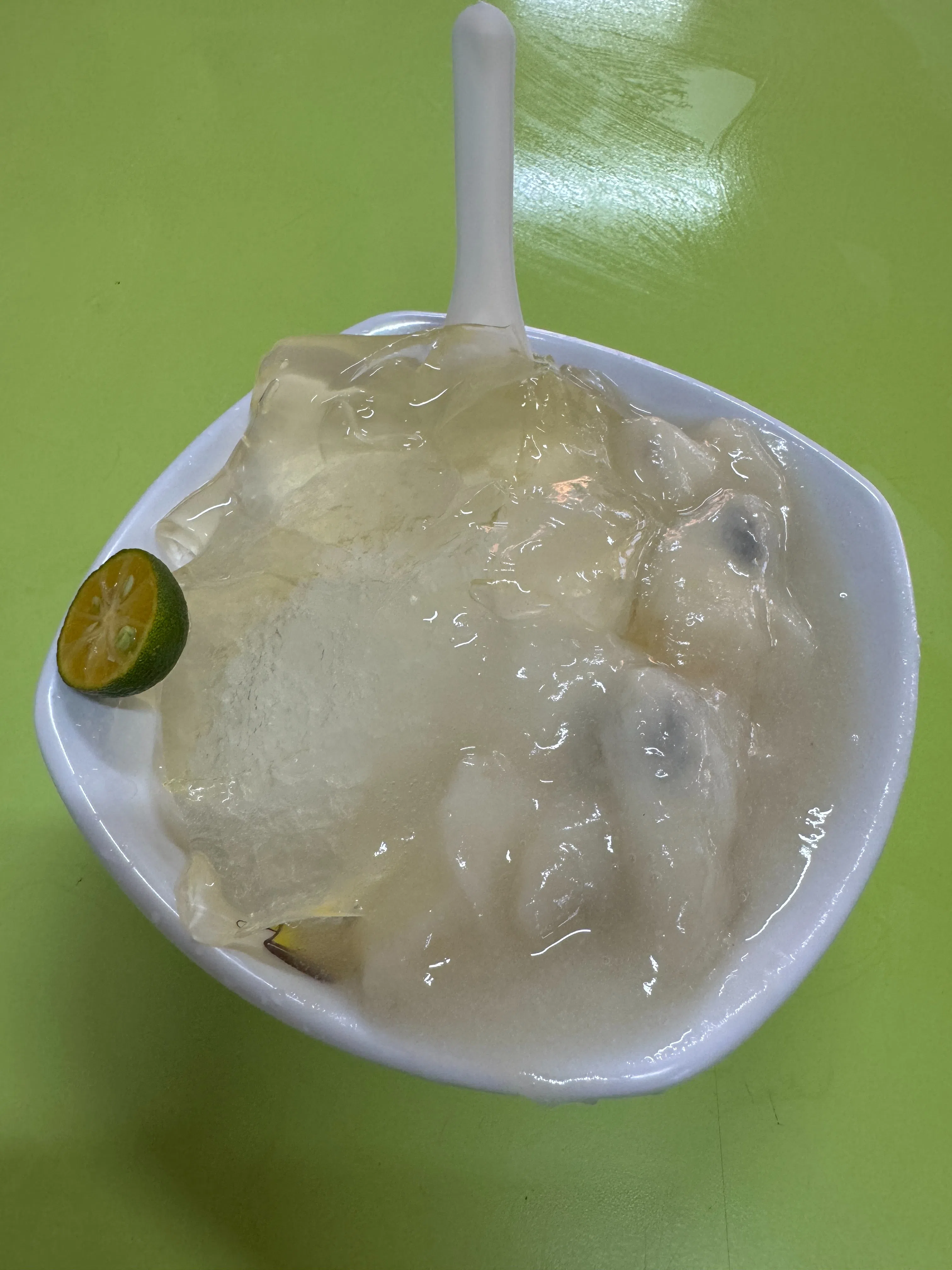 红毛榴梿文头雪（翁铭芯摄）