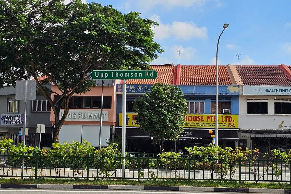 汤申路上段的店屋经营不同特色的餐馆食肆。（黄亿敏摄）