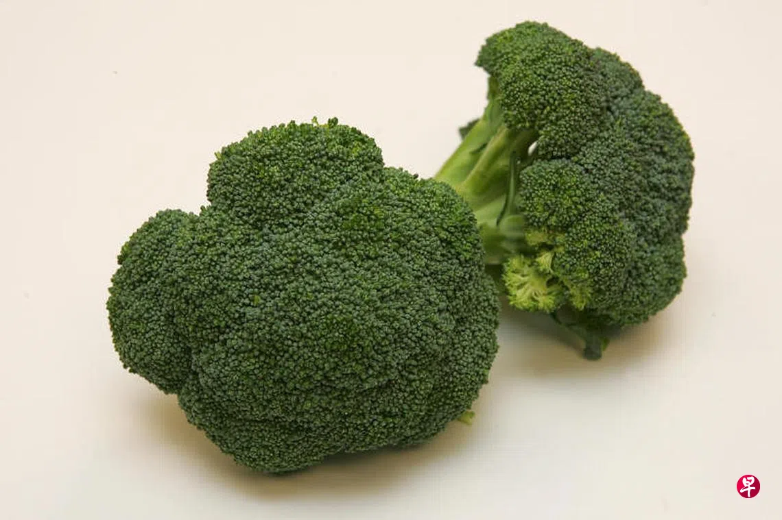 均衡饮食提高免疫力| 联合早报