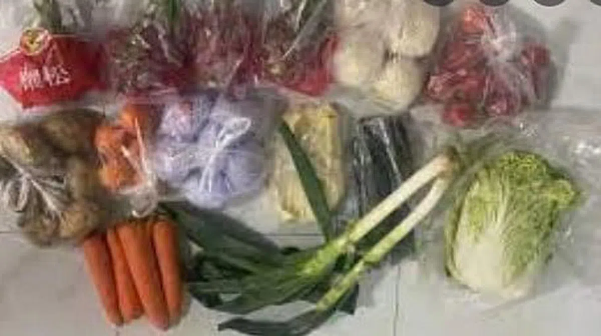 长春今年三月疫情防控期间，许多民众买菜困难，当地却开展起中共党员干部“晒晒我家蔬菜包”的活动，惹火了物资匮乏的民众。（互联网）