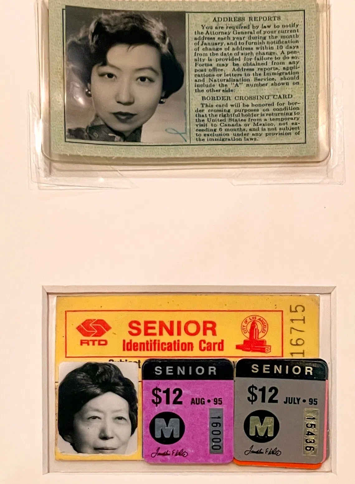 张爱玲不同时期的证件。（林方伟摄）