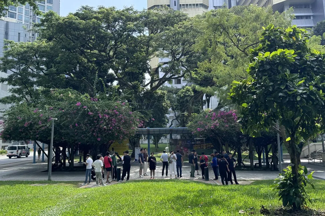 当局设立的特定吸烟区在索美塞滑板公园后侧的树荫处。（陈佳怡摄）
