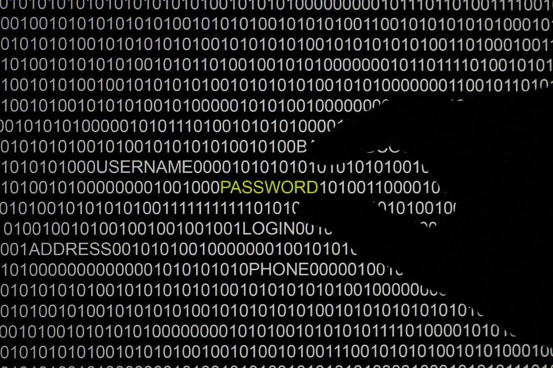 美国的报告说，政府已从“殭尸网路”中清除了恶意软件。（路透社）