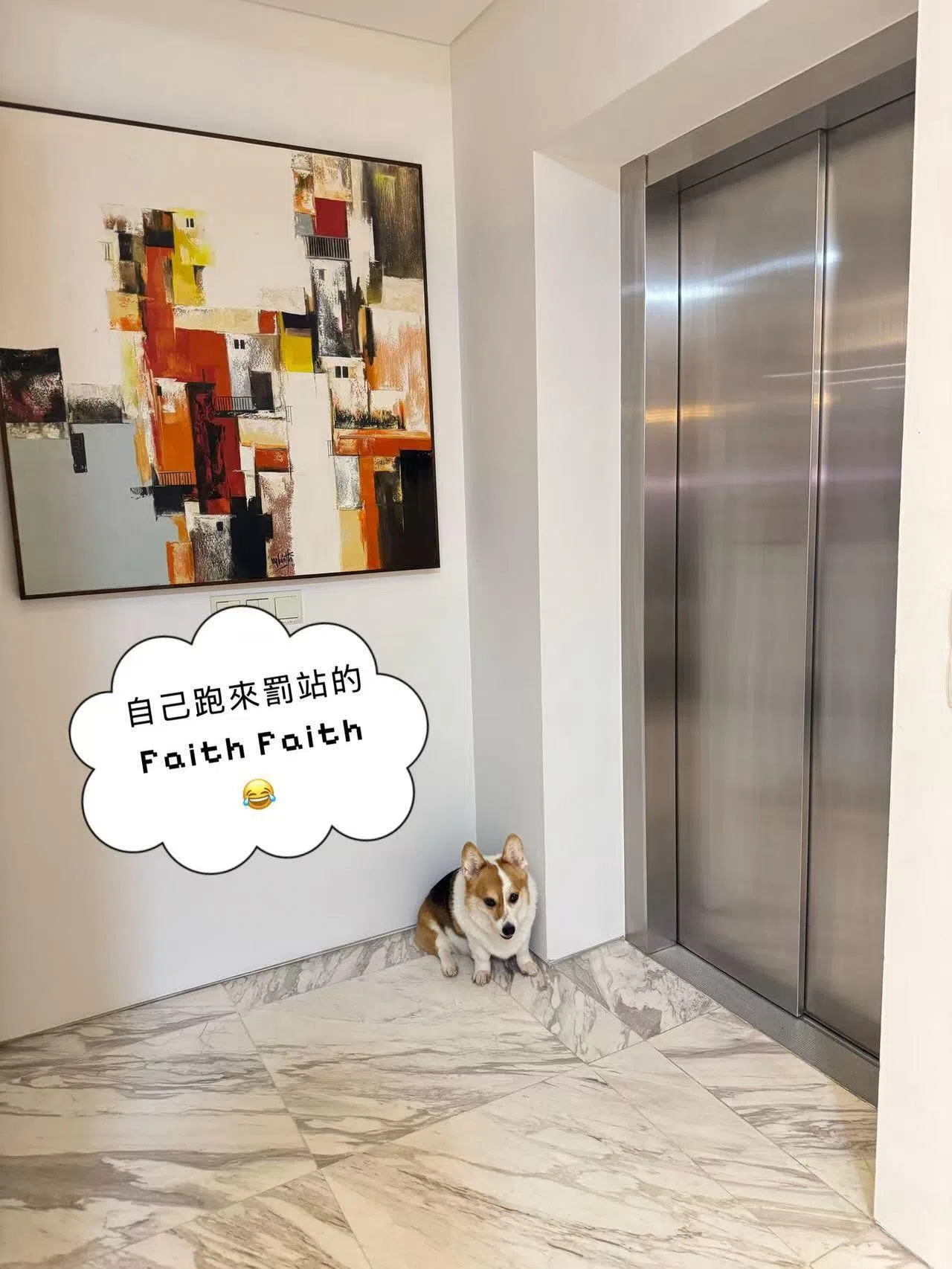 杨采妮描述爱犬做错事时，会自己到家中角落“罚站”，非常好笑。（取自杨采妮IG）