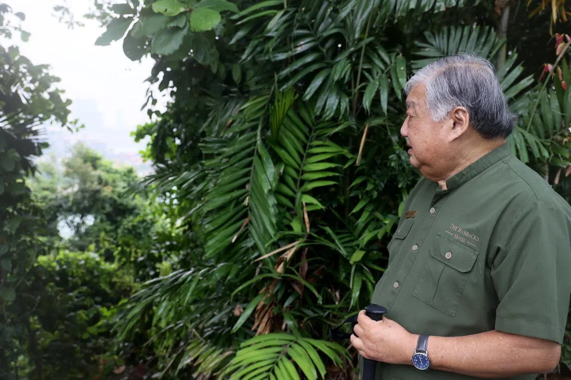 柯信丰现为百瑞营圣淘沙酒店的文史导览员，经常在岛上走动。（龙国雄摄）