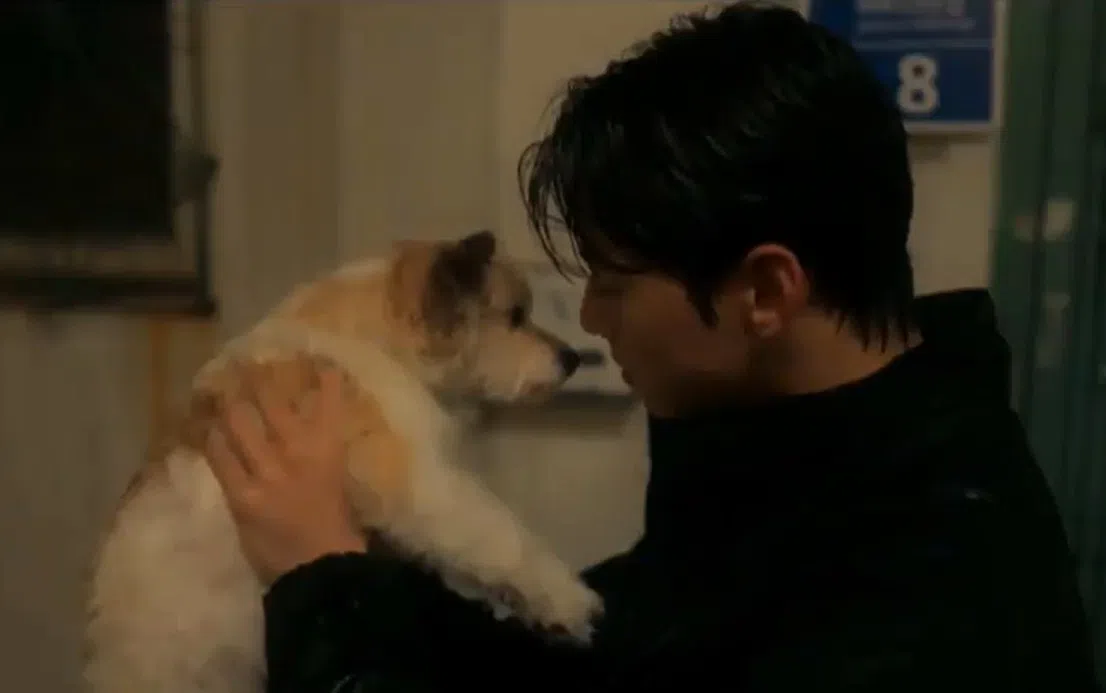 车银优在《犬系恋人》中和狗狗有吻戏。（视频截图）