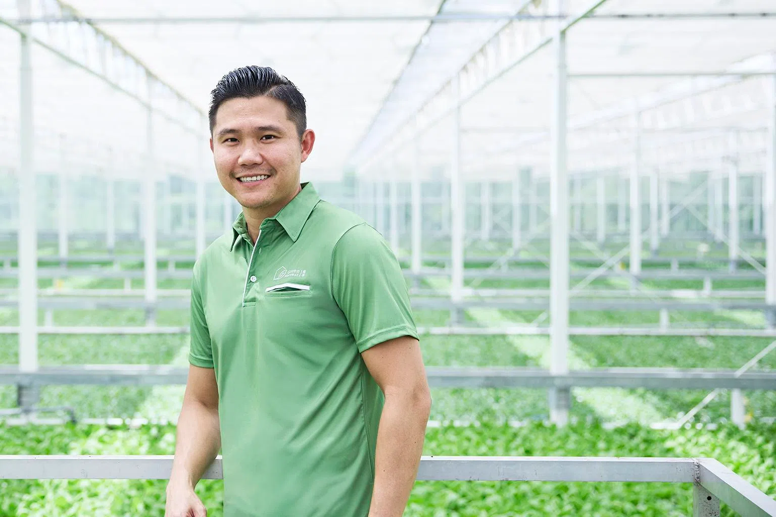 绿丰农场业务发展总监黄伟德提升温室内的自动化水耕系统，实现稳定收成与高品质蔬菜。（新报业媒体）