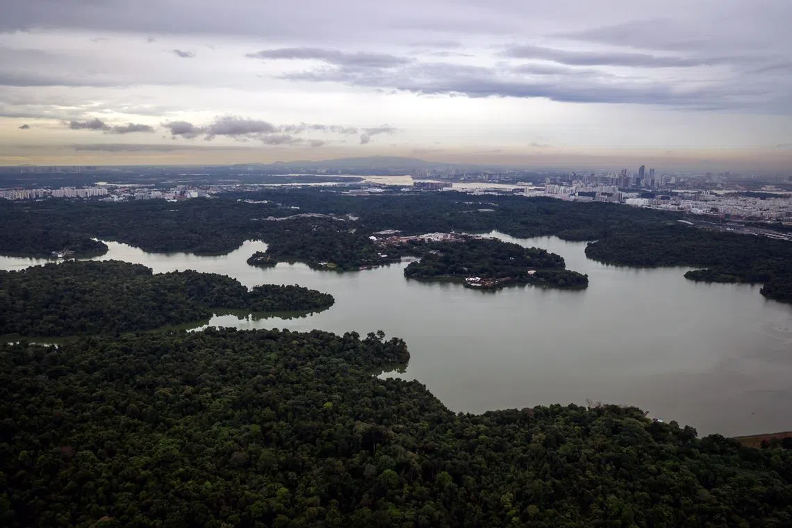 我国约三成面积可以有效地吸收雨水，防洪能力与美国纽约市和印度孟买相当。（档案照片）