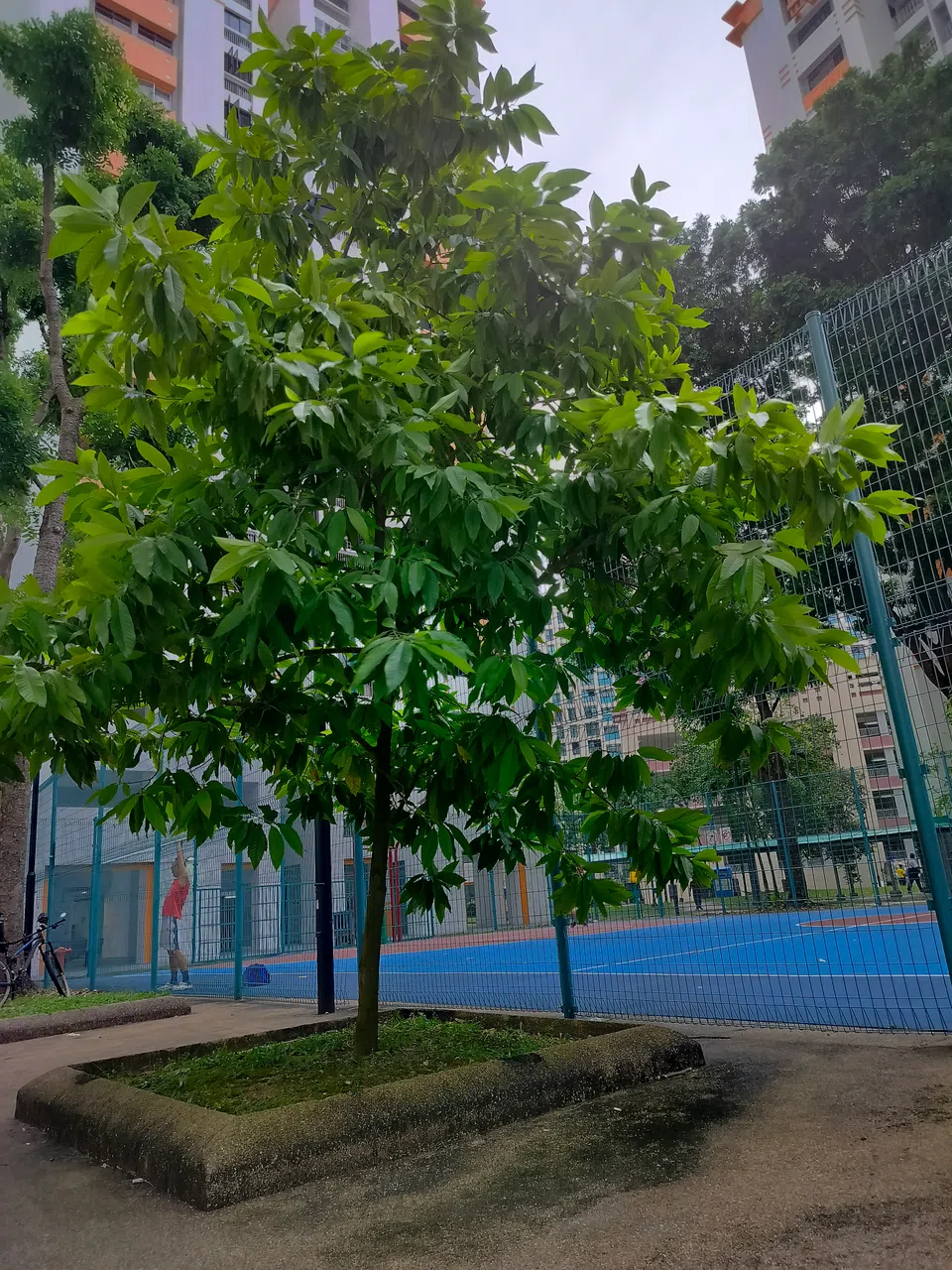 （郑慧欣摄）