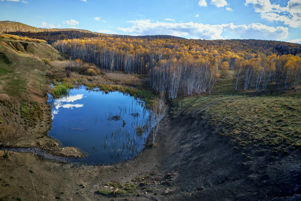 秋林之镜。（吴伟承摄）