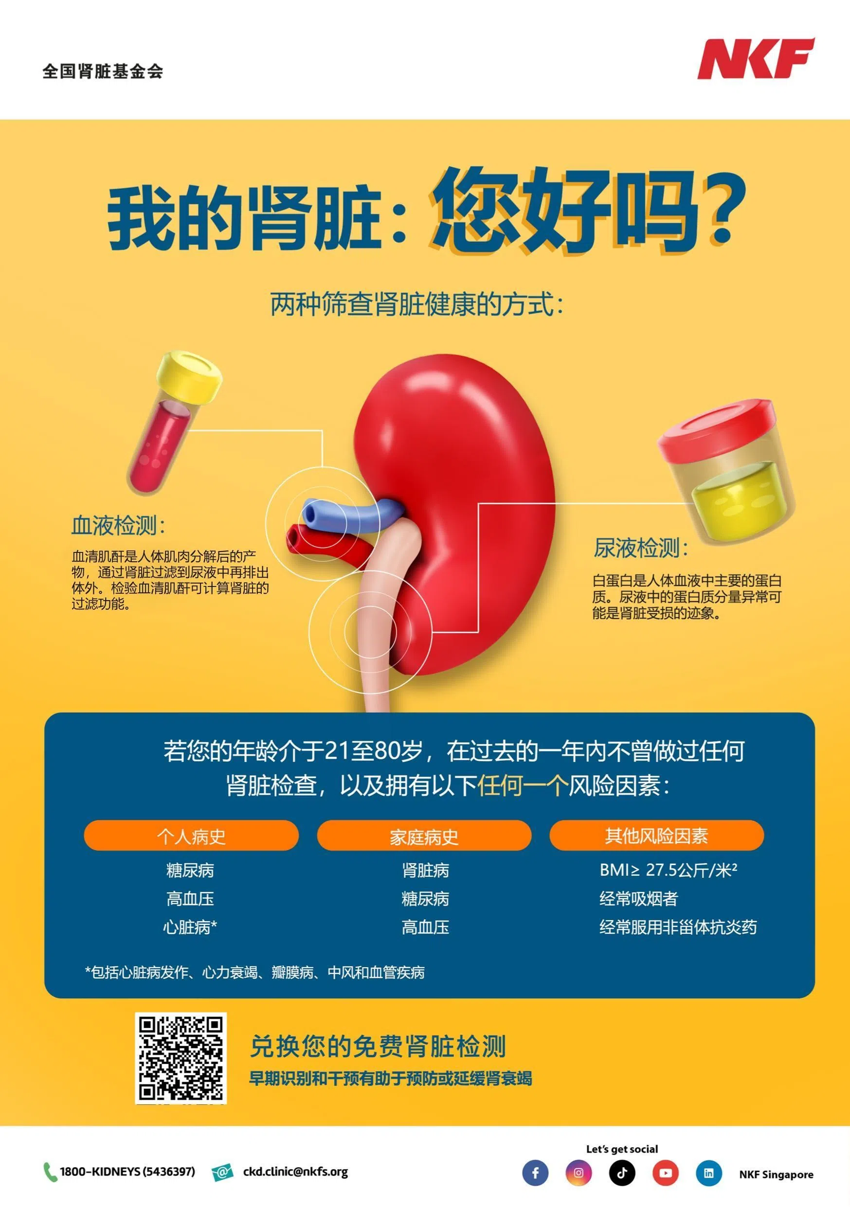 及早诊治患者，延缓病情恶化，全国肾脏基金会为高风险群体推行免费肾脏筛查计划。（全国肾脏基金会提供）