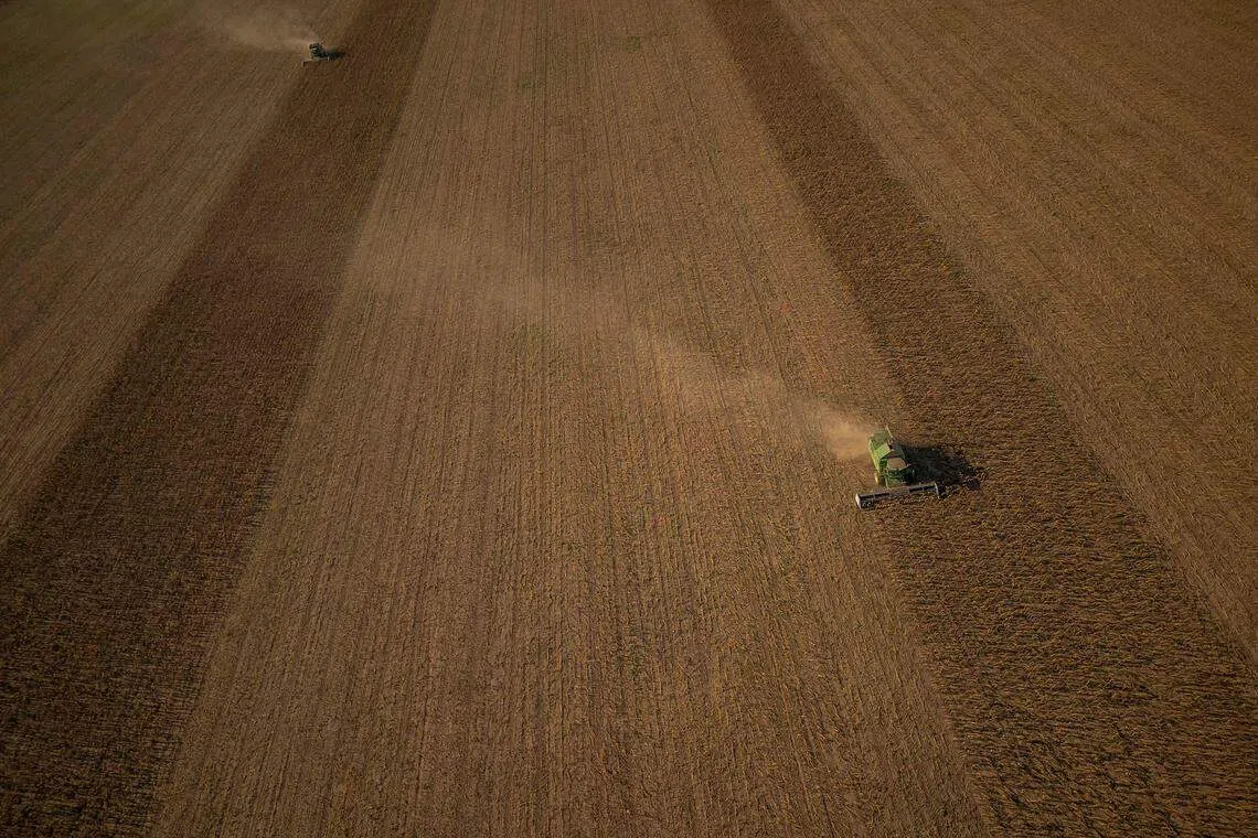 9月16日，一台谷物收割机在乌克兰中部城市克里维里赫（Kryvyi Rih）的田野中收割葵花籽。据美国农业部的数据，在2020年至2021年，乌克兰的葵花籽及葵花籽油产量占全球总产量的31%，是乌克兰的核心出口产品之一。（法新社）