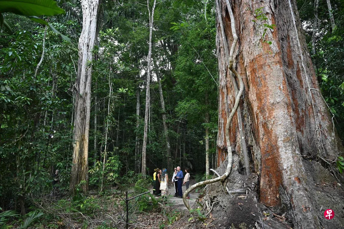 拜登访亚马逊雨林称无人能扭转清洁能源革命| 联合早报