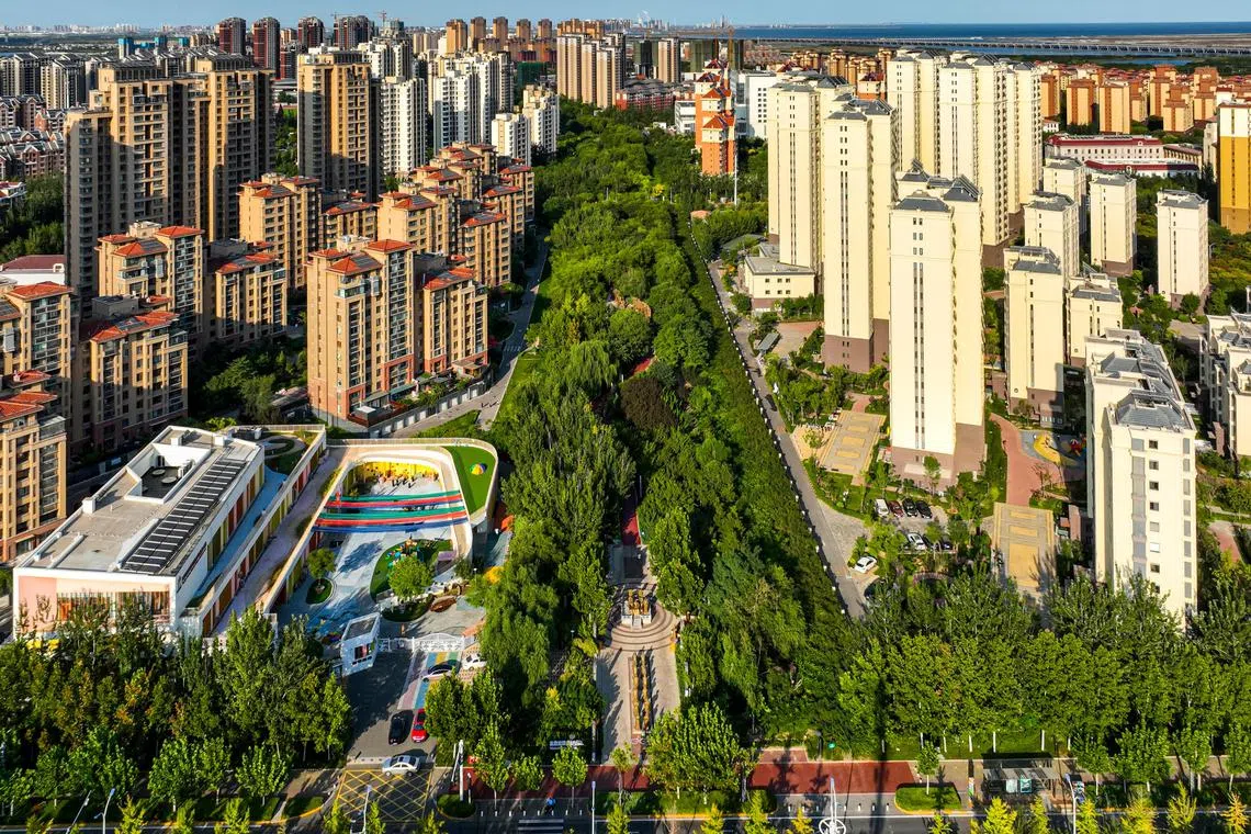 中新天津生态城的绿化面积高于中国城市平均值，绿油油的街景与新加坡有不少相似之处。（中新天津生态城投资开发有限公司提供）