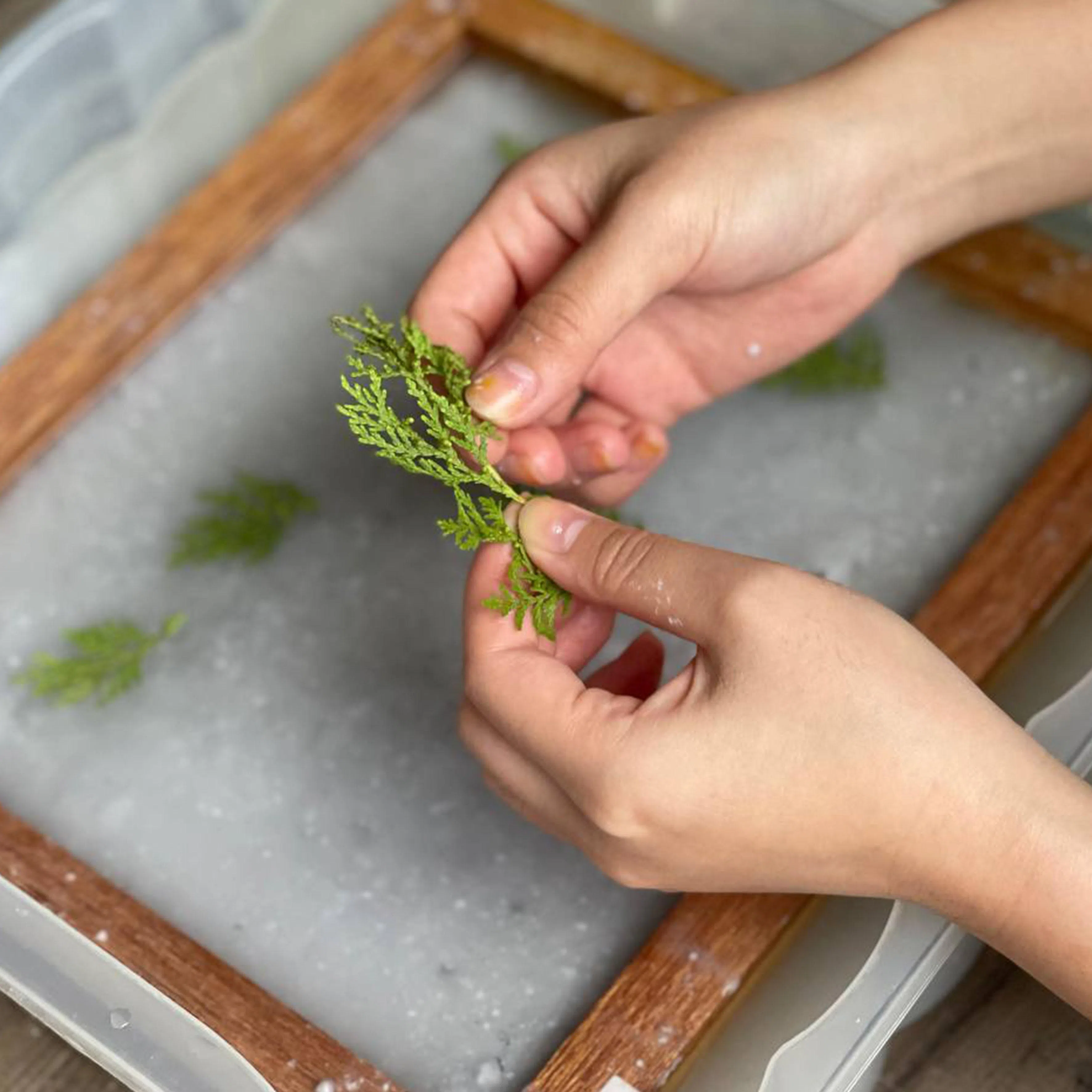 在造纸模具铺上纸浆后，根据喜好加入干植物做点缀。（Print N Matters提供）