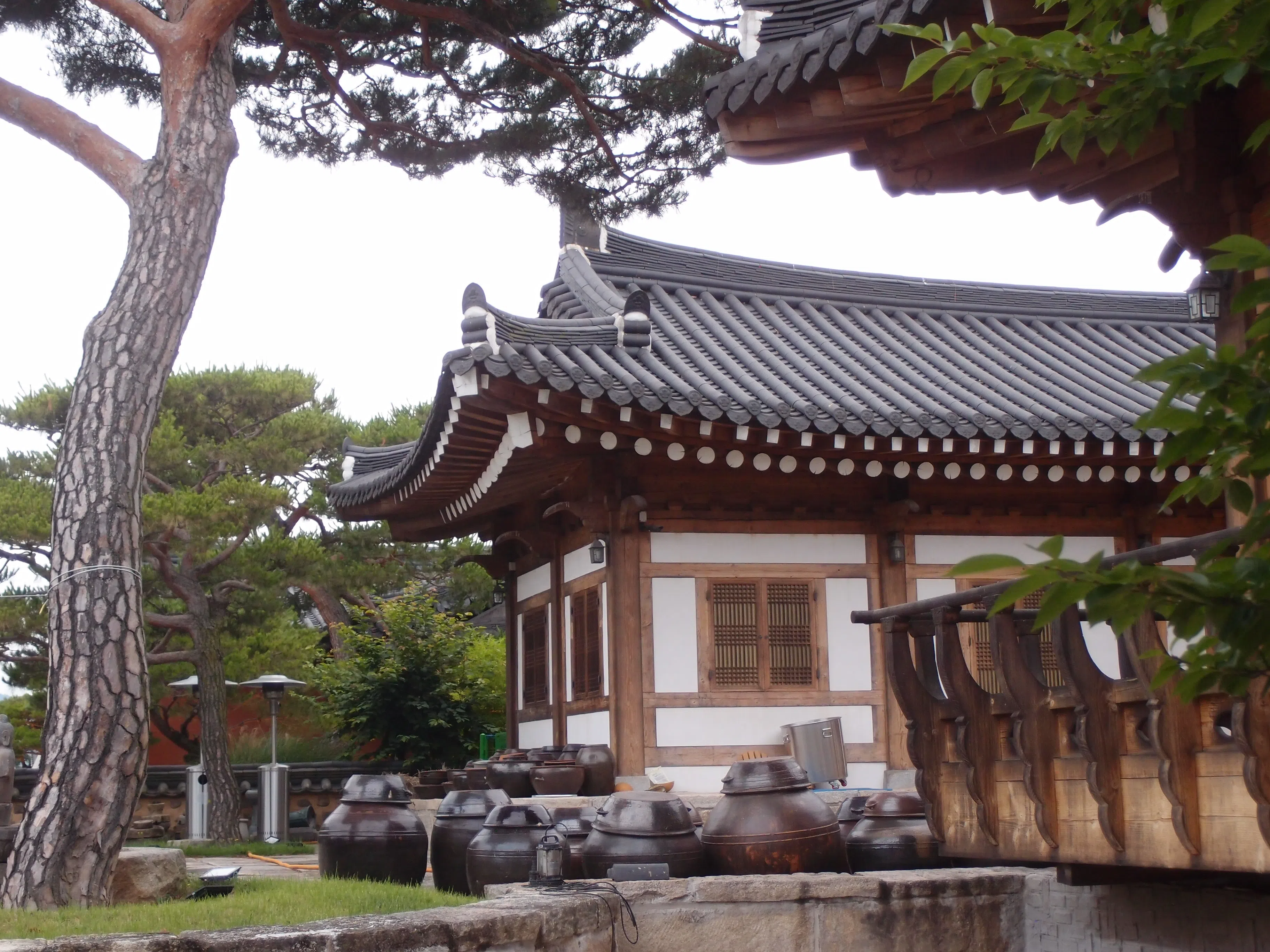 校村一角。（小黛摄）