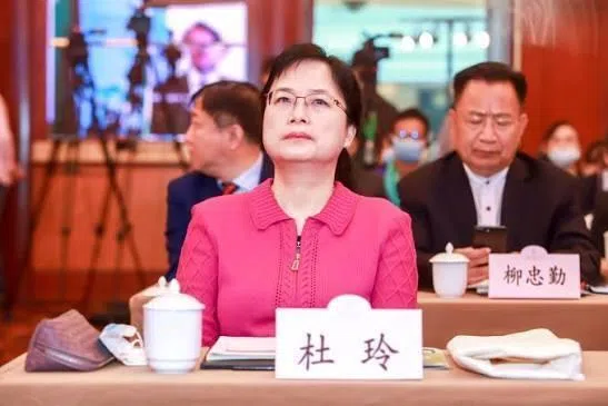 广东总工会原副主席杜玲被查 或涉马兴瑞前大秘郭永航案