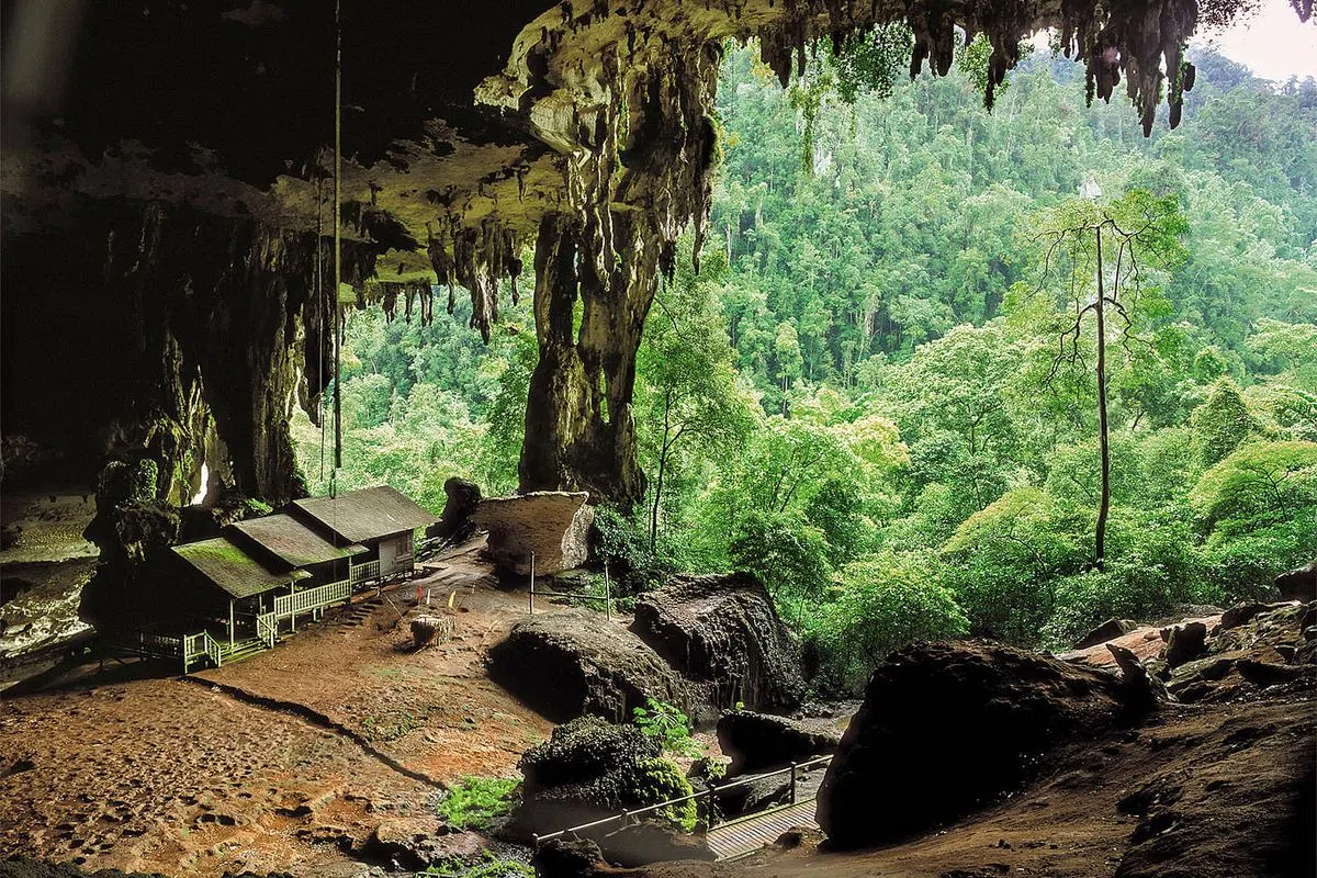 尼亚国家公园让久居都市的你流连忘返。（图/砂拉越旅游局提供）