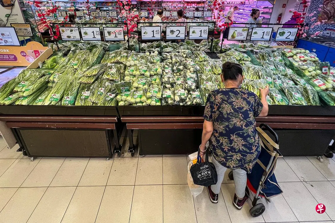 两成曾挨饿家庭疫情期间得温饱| 联合早报